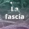 La Fascia 2